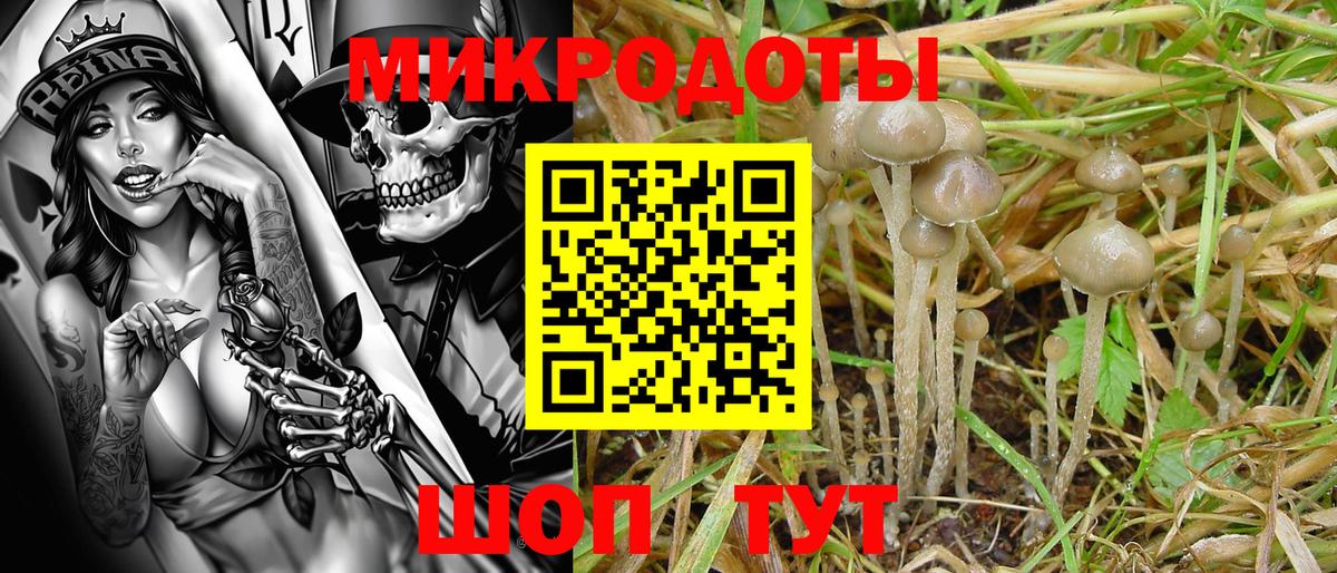 Галлюциногенные грибы Psilocybe  Вход с VPN  Псилоцибиновые грибы Psilocybe  Ржев 